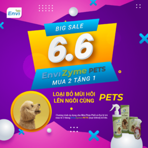 chuong trinh khuyen mai 6-6 feature