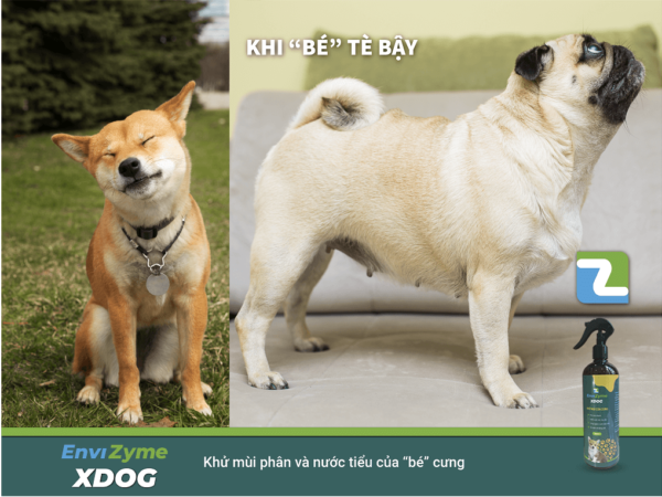 EnviZyme XDog khu mui hoi khi cun cung te bay 1024