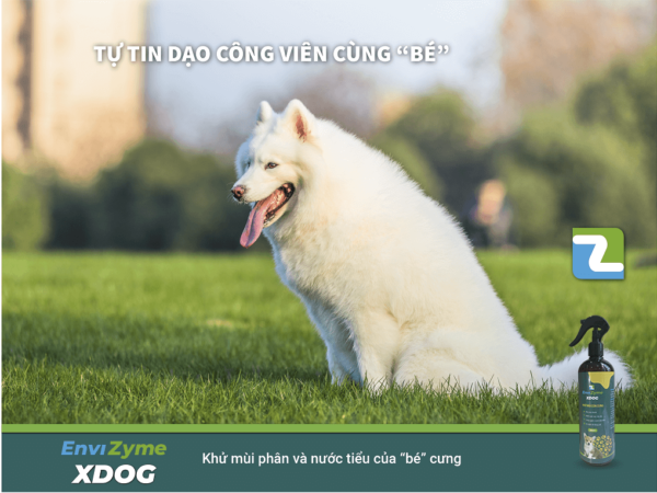 EnviZyme XDog khu mui phan va nuoc tieu cun cung 1024