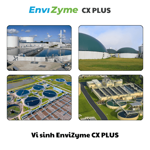 Vi sinh EnviZyme CX PLUS Vi sinh EnviZyme CX PLUS
