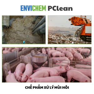 che pham xu ly mui hoi envichem pclean