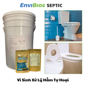 vi sinh xử lý hầm tự hoại EnviBios Septic