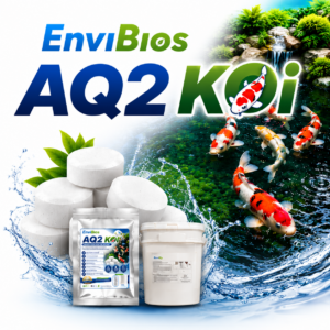Envi Bios AQ2 Koi